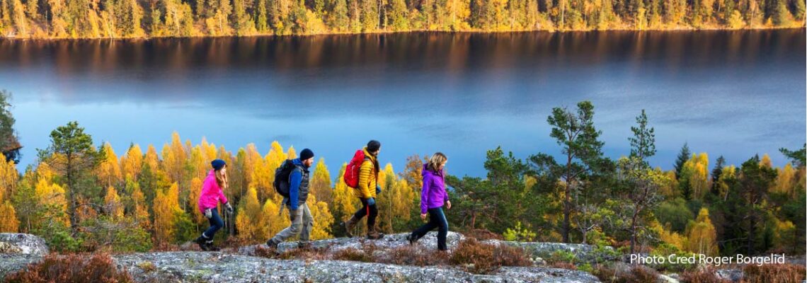 Vandra på Sörknatten i Dalsland